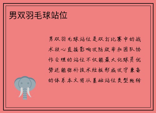 男双羽毛球站位