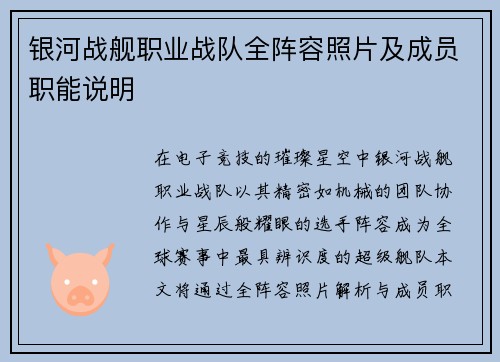 银河战舰职业战队全阵容照片及成员职能说明